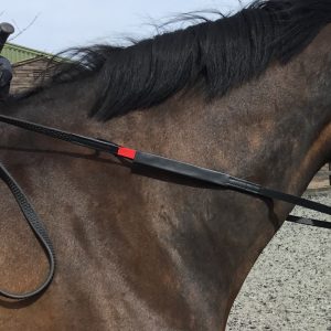 Black Pony Standard